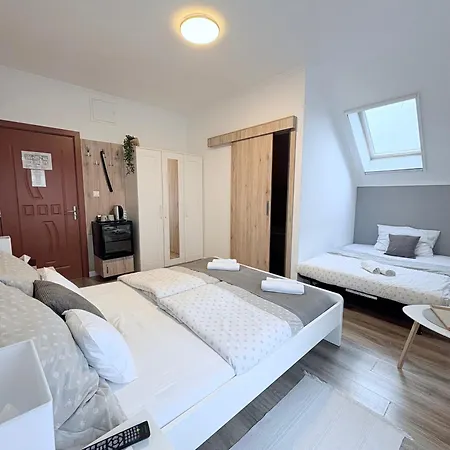 Budapest Airport Almaskert Panzio 4* Vecsés